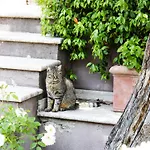 Apartamento La Magnolia A Casa Tua *
