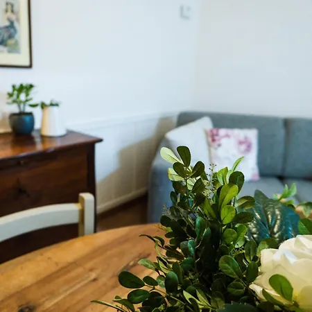 La Magnolia And Apartment *