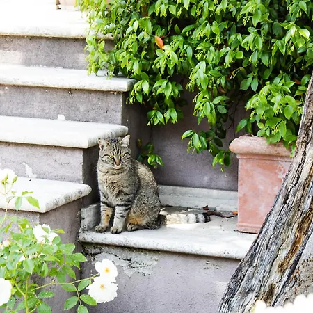 Lejlighed La Magnolia A Casa Tua *