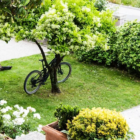 La Magnolia And Apartment Arrone