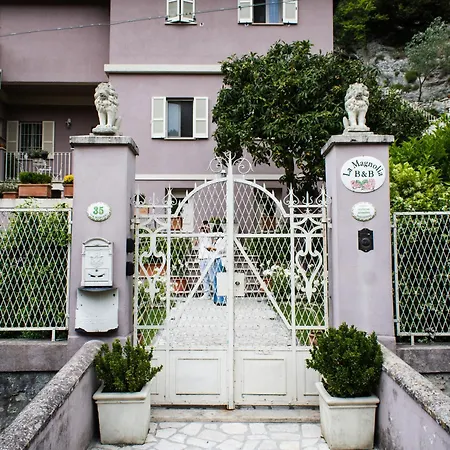 La Magnolia *