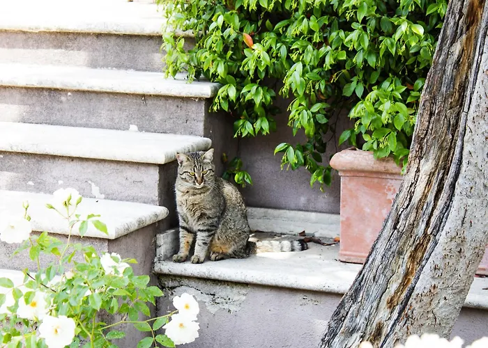 Appartamento La Magnolia *